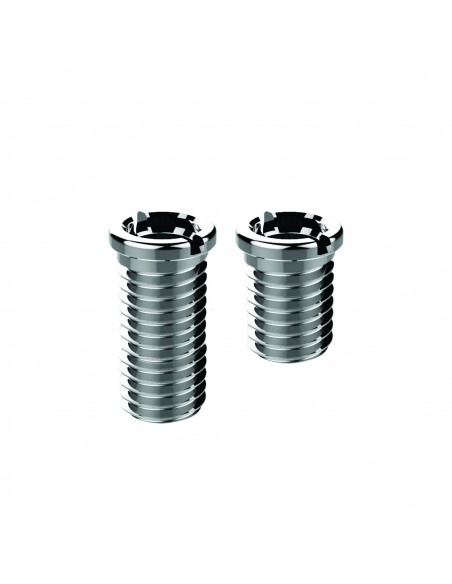 2 vis dia 14 mm de longueurs différentes 27.5 et 17.5 mm pour s'adapter à l'épaisseur de l'évier, pour bonde dia 90