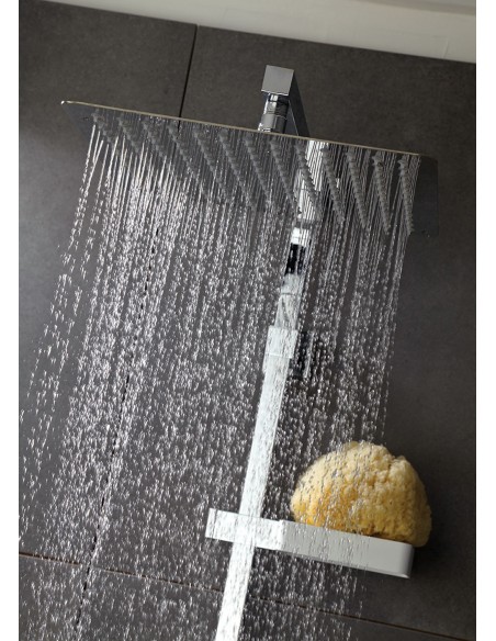 Zoom orientable top showerhead and storage shelf