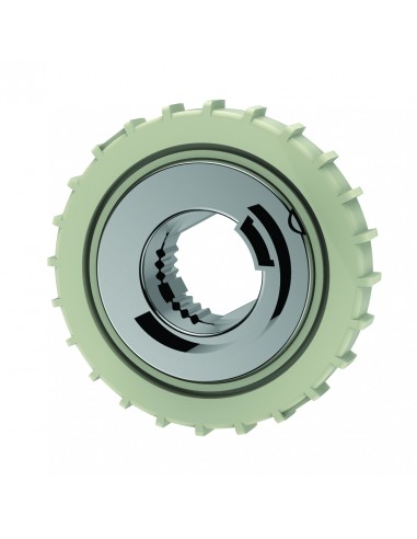 Bague pour corps thermostatique de...